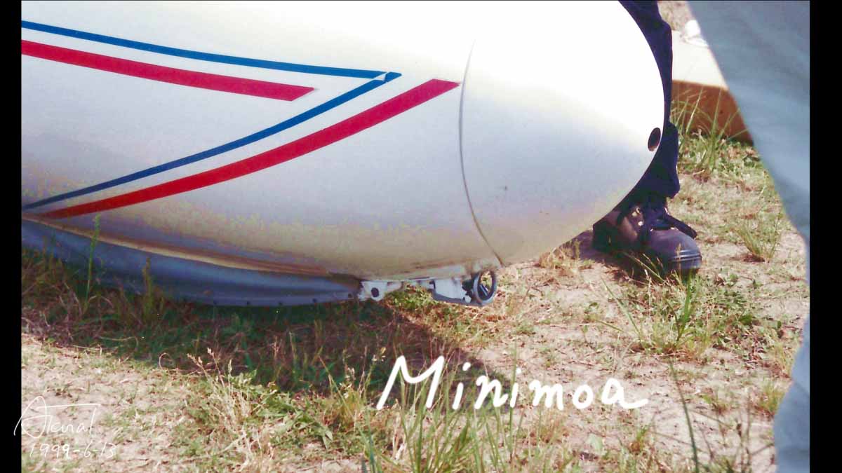 minimoa details