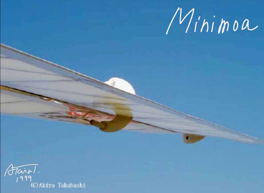 ミニモア minimoa wing