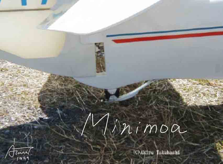 minimoa tail