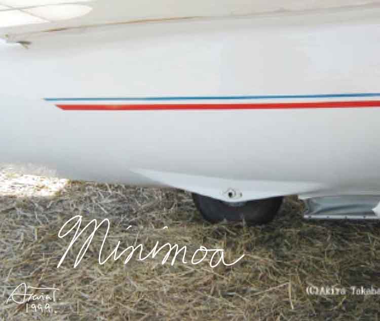 Minimoa landing gear