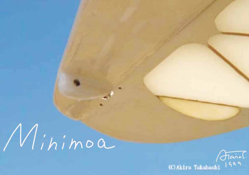 Minimoa wing tip