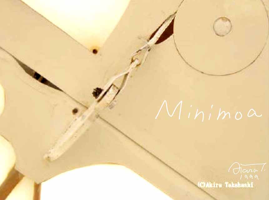 Minimoa wing