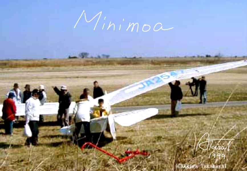 minimoa