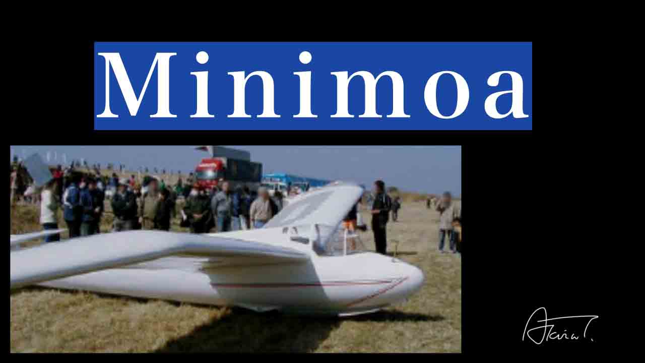 Minimoa ミニモア