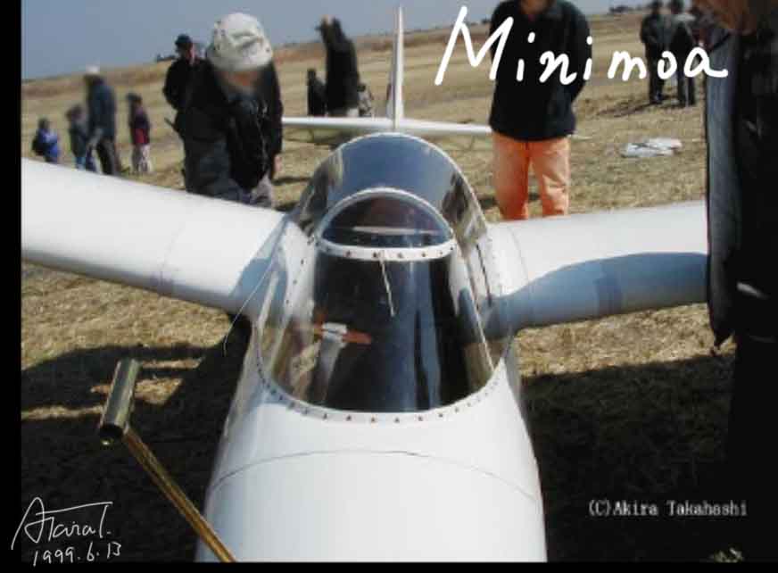 Minimoa glider　ミニモア（グライダー）