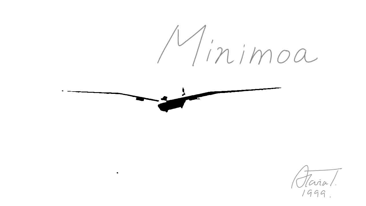 Minimoa fly