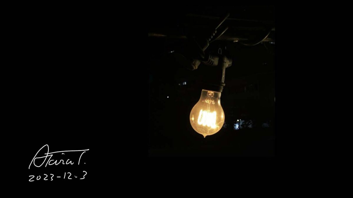 南池袋公園の夜　電球