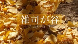 雑司が谷　秋　zoshigaya-autumn