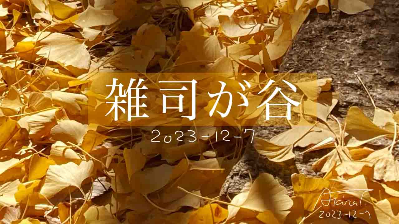 雑司ヶ谷鬼子母神堂　秋2023年12月　kishimojin