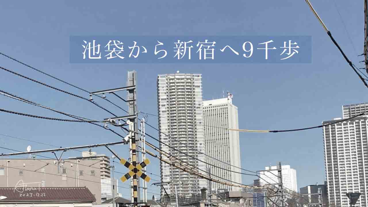 池袋から新宿へ歩いて九千歩