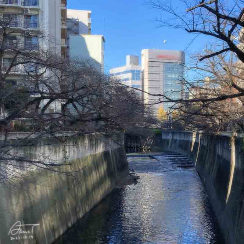 神田川 曙橋