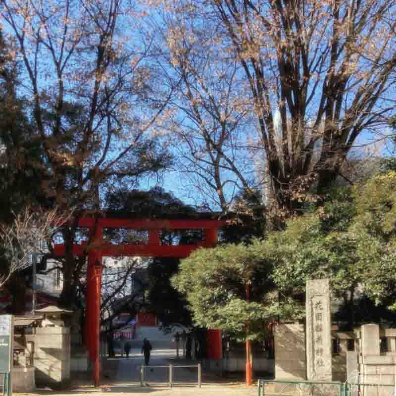 新宿花園神社2023年12月