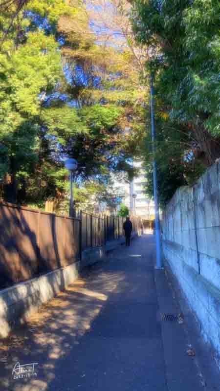 池袋の墓地脇の路地