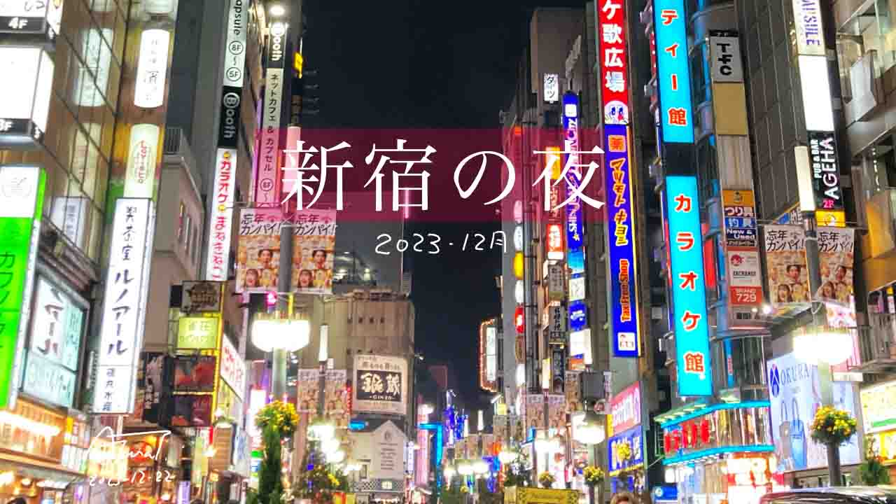 新宿の夜