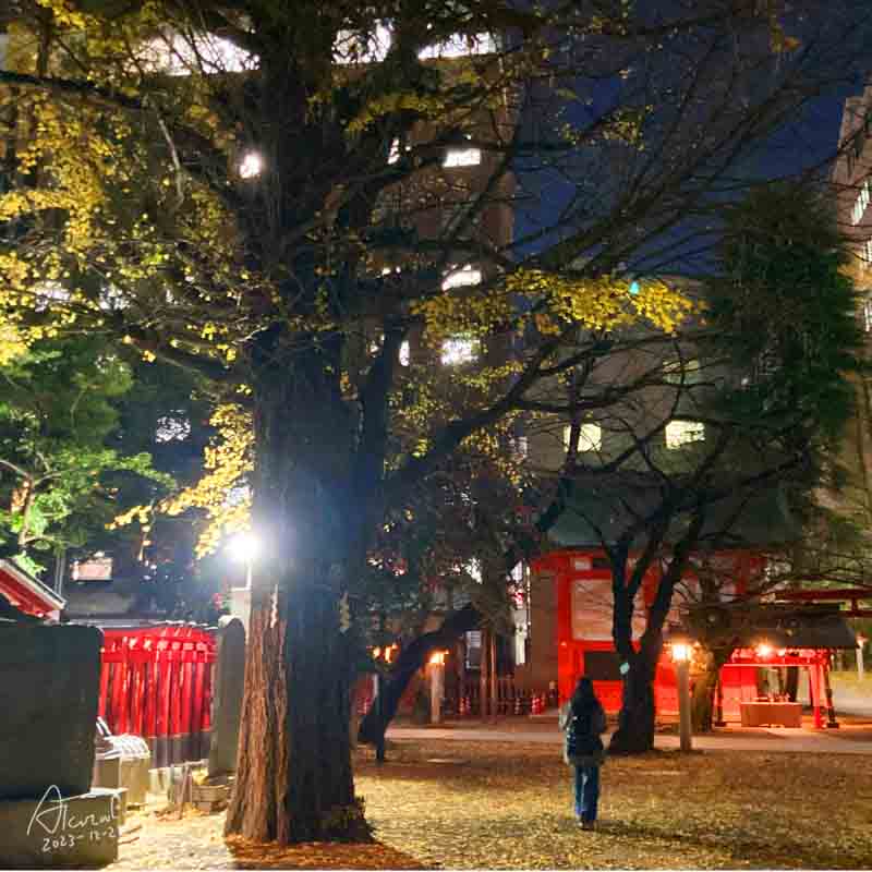 新宿花園神社